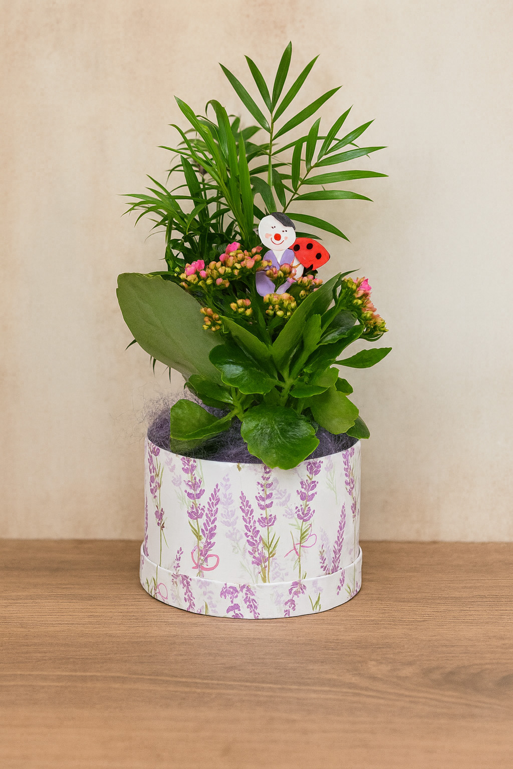 Composizioni e Terrarium - Immagine 1