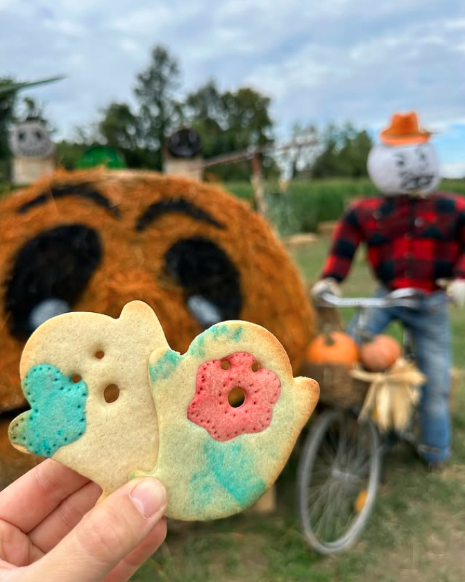 Biscotti autunnali di Corte Vittoria per il Campo d'Autunno