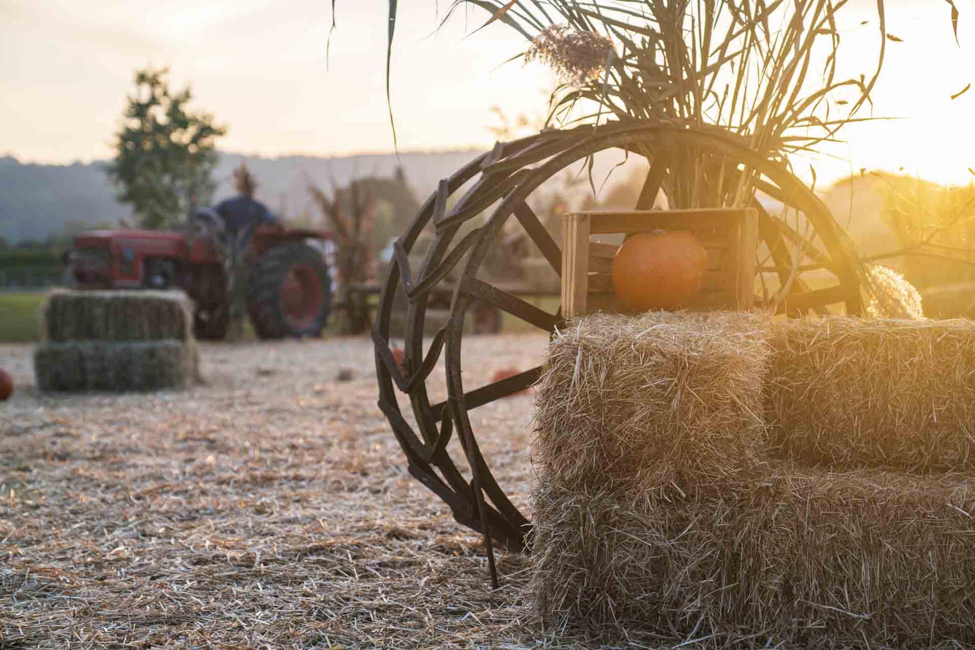 Decorazioni rustiche che celebrano l'autunno