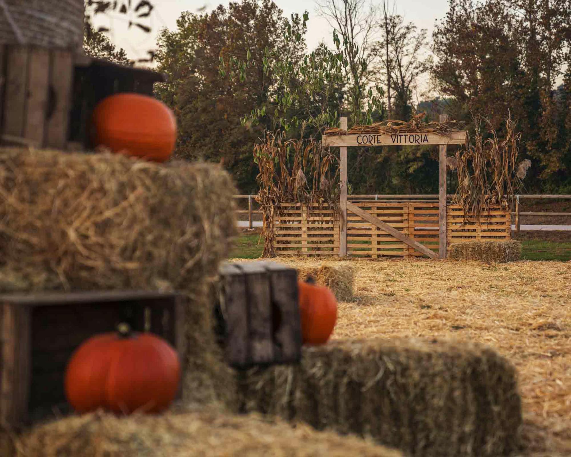 Vista del campo d'autunno