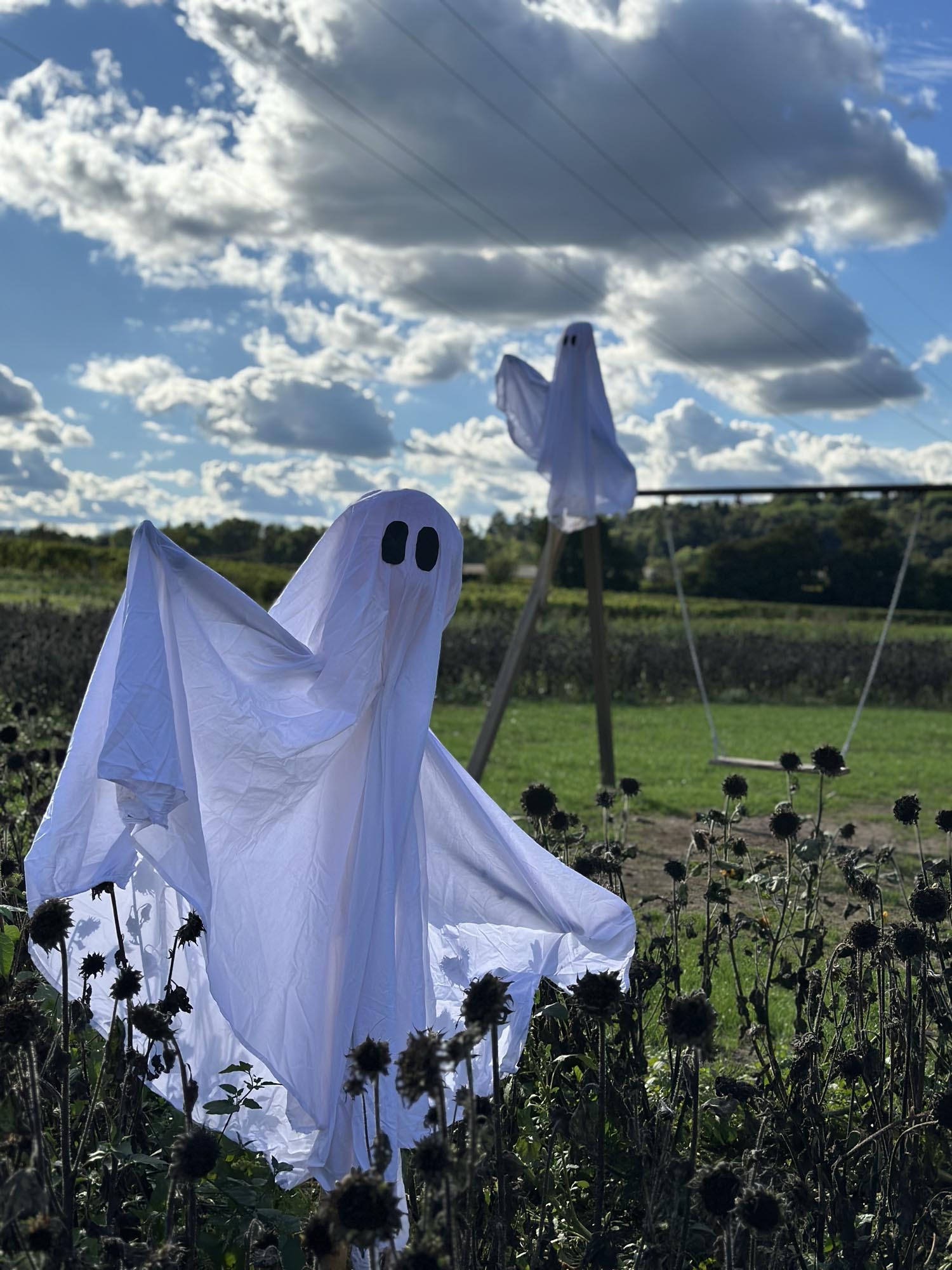 Atmosfera di Halloween al Campo d'Autunno