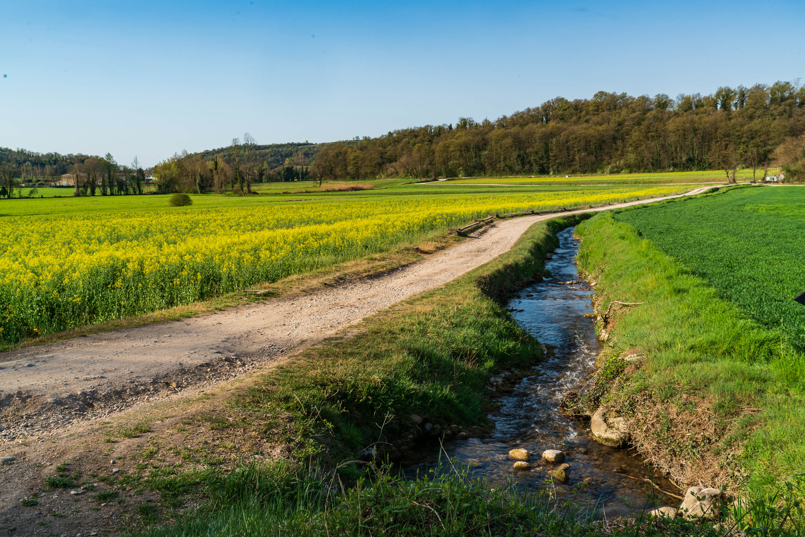 Azienda Agricola Corte Vittoria