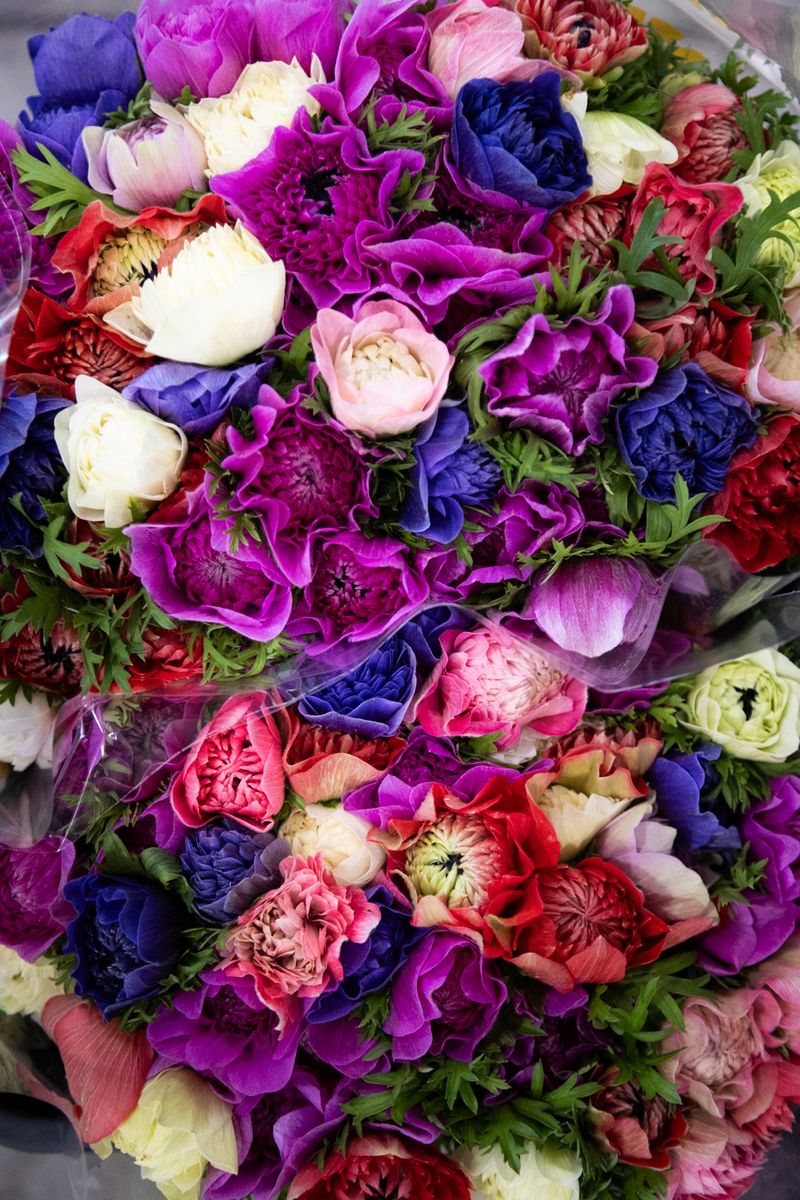 Fiori recisi freschi all'ingrosso - Bouquet per fioristi