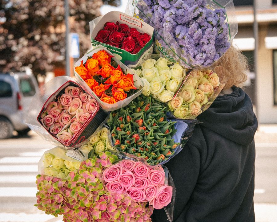 Ingrosso fiori e piante Merotto Fiori - Professionalità e passione dal 1995