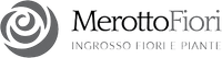 Logo Merotto — cliente Twipping