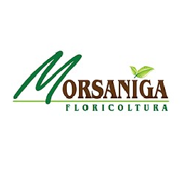 Logo Morsaniga — cliente Twipping, settore Florovivaismo