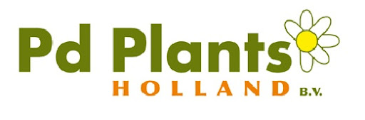 Logo PD Plant — cliente Twipping, settore Garden