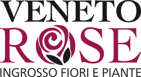 Logo Veneto Rose — cliente Twipping, settore Florovivaismo