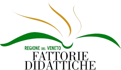 Partner Regione Veneto
